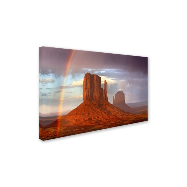 Mike Jones Photo 'Mittens Rainbow' Canvas Art,16x24